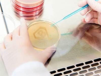  Drug-Resistant Bacterial Infections Bolsters Need for New Antibiotics