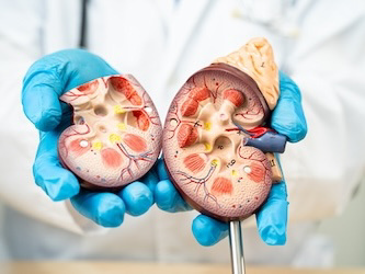 Novo Drops Late-Stage Kidney Drug Following Trial Fail